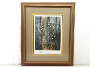 Beverly Scalze Pencil Signed and Numbered Three in a Tree Raccoon Print