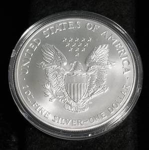 2000 COLORIZED AMERICAN SILVER EAGLE 1 TROY OZ. .999 FINE SILVER IN AIRTITE