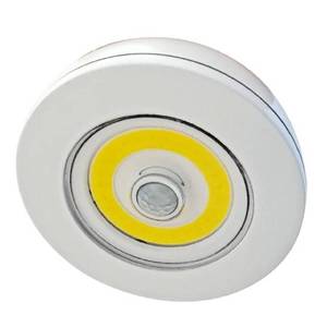 lot 241 image: 2 Over Lite Overhead Motion Activat...
