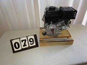 lot 79 image: LET Horizontal Replacement Motor