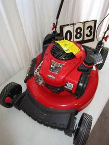 lot 83 image: 22 Lawn Mower