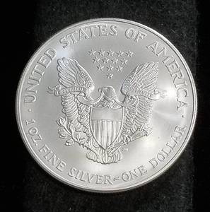 2002 AMERICAN SILVER EAGLE 1 TROY OZ. .999 FINE SILVER DOLLAR