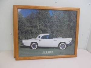 lot 80 image: 57 t bird picture