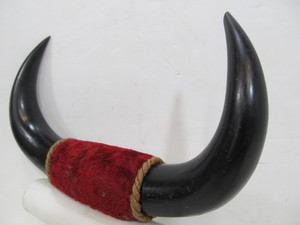 lot 273 image: Vintage Smaller Size Mounted Bull Horns