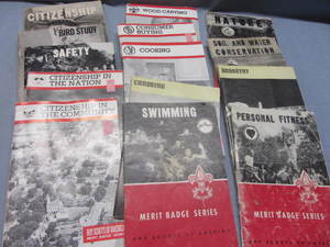 lot 13 image: Merit Badge Books