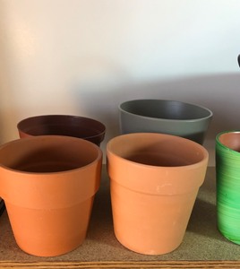lot 224 image: LOT OF FLOWERS PLANTERS