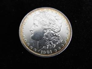 Morgan Dollar