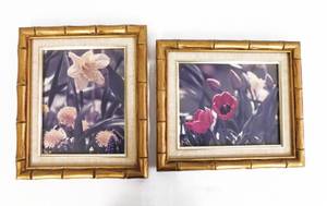 lot 73 image: Framed Daffodil and Tulip Print Set