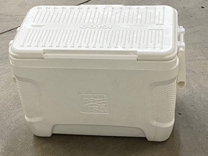 lot 2 image: Igloo Camp Cooler