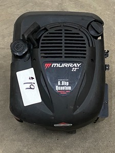 lot 19 image: Quantum Lawn Mower Engine
