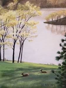 lot 66 image: Artist Signed Original Oil  Native Habitat Deer Naping
