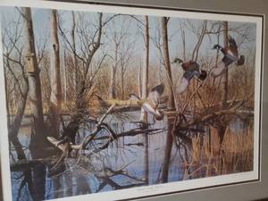 lot 71 image: Richard Plasschaert Wildlife Print Flooded Timber Woodies