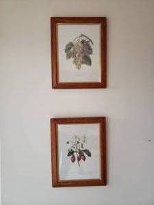 lot 111 image: Vintage Fruit Prints by P.J. Redoute