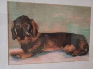 lot 117 image: Jackie Garrick-Waldman Framed Print of a Bearded Dachshund