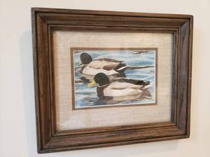 lot 105 image: Framed Print of Mallard Ducks