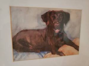 lot 116 image: Jackie Garrick-Waldman Framed Print of a Chocolate Labrador