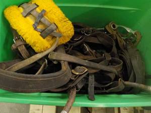 Horse Accessories in a green tote...