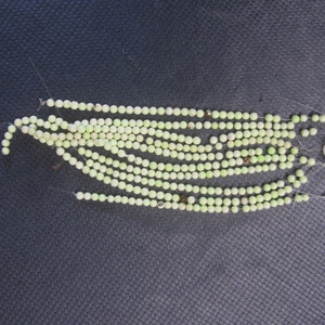 Green Chrysoprase