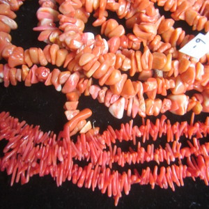 Red Coral
