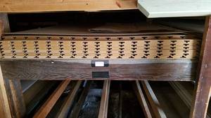 lot 260 image: (7) Tongue & Groove Display
