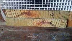 lot 478 image: 2x12 Treated Pine Boards