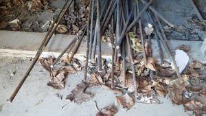 lot 486 image: Shelf lot of Misc Rebar