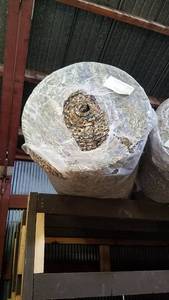 lot 343 image: Roll of Ultra Magic Carpet Underlay 716