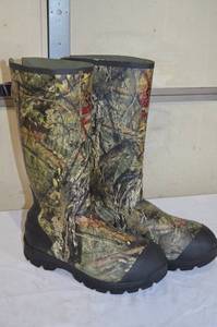 Sportsman 240 Boot and Shoe