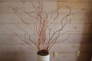 lot 20 image: Large Decorative Ribbed Vase w Tree Branches  Dried Plant