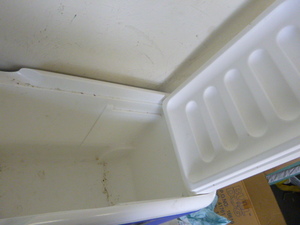 Igloo Wheelie Cool Cooler