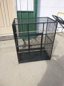 Bird Cage