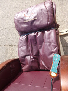 Pro Spas Pipeless Whirlpool Salon Chair