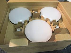 lot 13 image: EcoSmart 75-Watt Equivalent BR40 Di...