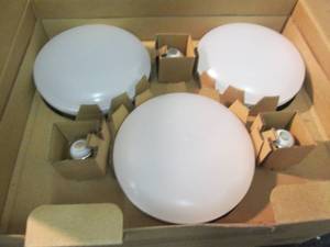 lot 15 image: EcoSmart 75-Watt Equivalent BR40 Di...