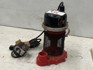 lot 34 image: Banks 115Volt Electric Quality Sump Pump