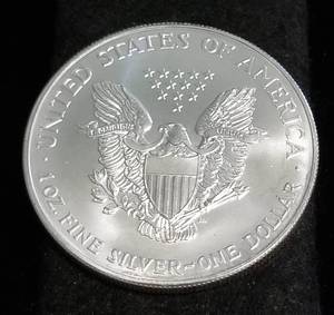 2002 AMERICAN SILVER EAGLE 1 TROY OZ. .999 FINE SILVER DOLLAR