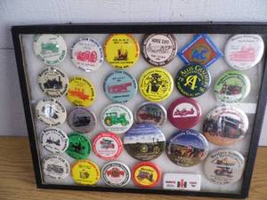 Collector Buttons in Case