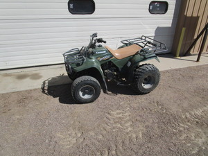 98 Kawasaki Bayou 220