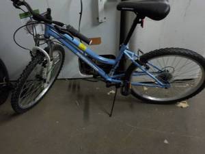 lot 146 image: Roadmaster Bike and Princess Bike...
