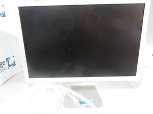 Apple 20 in LCD Monitor