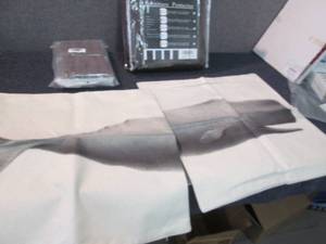 lot 262 image: Whale Pillow Covers 18 inch, Chair ...