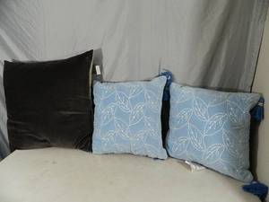 3 New Throw Pillows