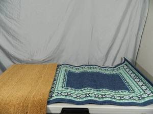 2 New Rugs Indoor and Outdoor