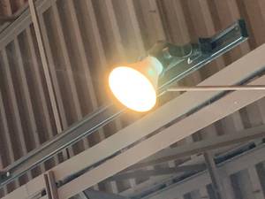 Approx 85 Flood  Spot Light Bulbs