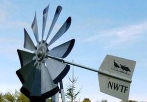 Yard Windmill