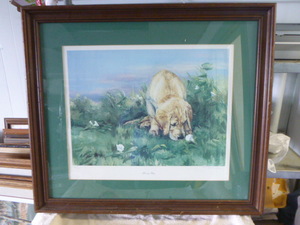 lot 17 image: Morning Glory by Tara Moore