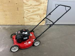 YARD MACHINES 20 in. 125 cc OHV Briggs and Stratton Gas Walk Behind Push Mower
