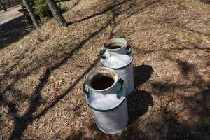 lot 125 image: 2 - Vintage Milk Cans