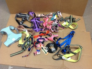 PALLET WITH ASSORTED DOG COLLARS DIFFERENT SIZES AND CONDITIONS (SEE PICS)