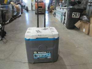 lot 203 image: igloo coolers